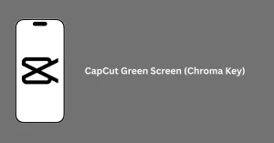 CapCut Green Screen feature in action showing video background editing